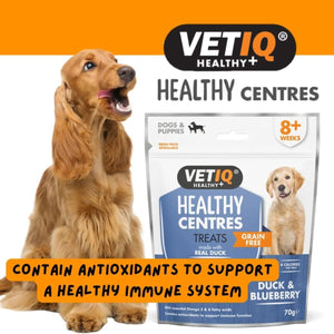 VetIQ Healthy Centres Duck & Blueberry Dog Treats - 70g