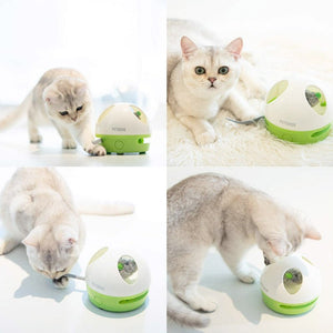 Hiding Mouse - Shopivet.com