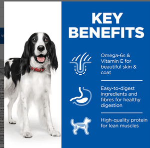HILL’S SCIENCE PLAN Adult Dog Food with Turkey (12x370g) - Shopivet.com