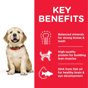 Hill’s Science Plan Large Breed Puppy Food With Chicken (2.5kg) - Shopivet.com