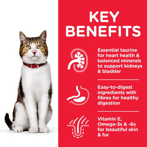 Hill’s Science Plan Mature Adult 7+ Cat Food With Chicken (3kg) - Shopivet.com
