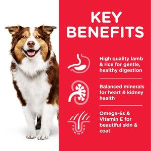 Hill’s Science Plan Medium Mature Adult 7+ Dog Food With Chicken (14kg) - Shopivet.com