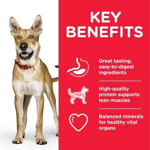 Hill’s Science Plan Performance Adult Dog Food With Chicken (14kg) - Shopivet.com