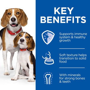 Hill’s Science Plan Puppy & Mother Mousse with Chicken (12x200g) - Shopivet.com