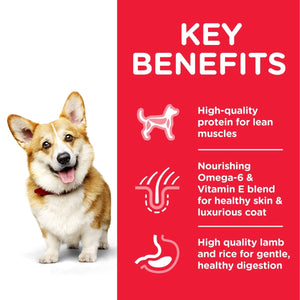 Hill’s Science Plan Small & Mini Adult Dog Food With Chicken (1.5kg) - Shopivet.com