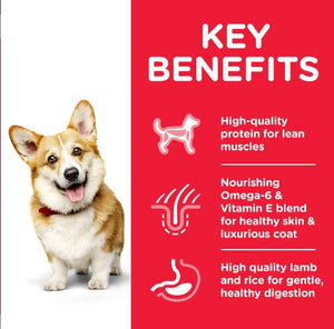 Hill’s Science Plan Small & Mini Adult Dog Food With Chicken(10kg) - Shopivet.com