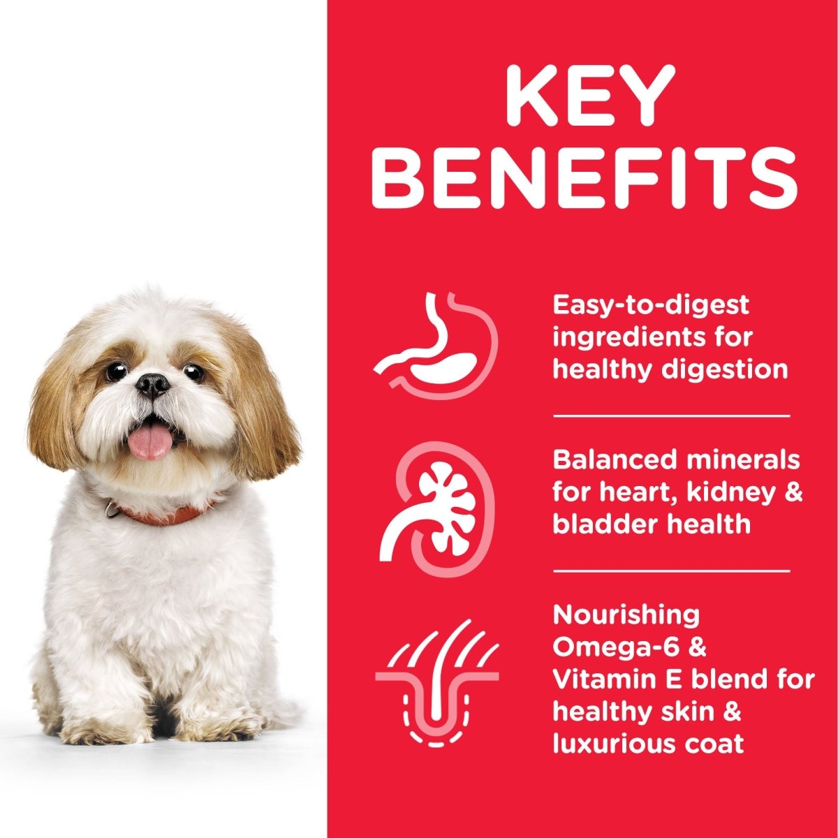 Hill’s Science Plan Small & Mini Mature Adult 7+ Dog Food With Chicken (3kg) - Shopivet.com