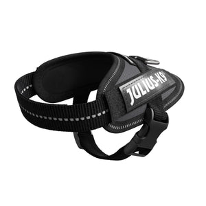 IDC Powerharness - Grey / Size Baby 1