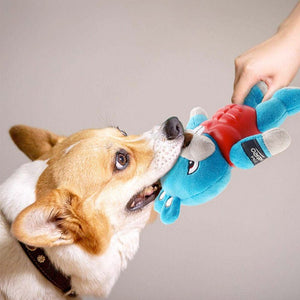 I’m HERO Rabbit with Squeaker - Shopivet.com
