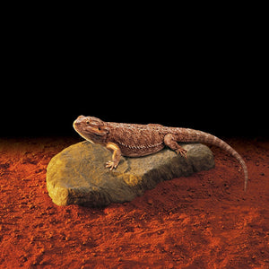 Exo Terra Heat Wave Rock - Large 15W