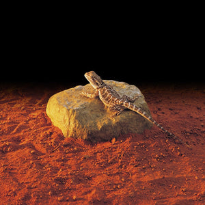 Exo Terra Heat Wave Rock - Medium 10W