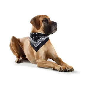 Hunter Cotton Dog Scarf for Collars with Loops - Blue
