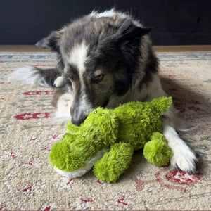 Kong Cozie Ali Alligator Dog Toy - S