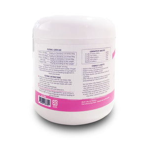 Kit Cat Kitten Milk Replacer 200g + FREE Nursing Kit - Shopivet.com