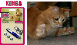Kong Active Laser Pen Cat Toy - Shopivet.com