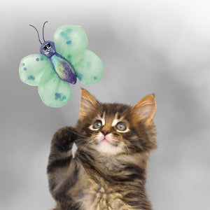 Kong Better Buzz Butterfly Cat Toy - Shopivet.com