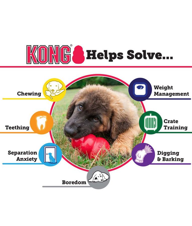 Kong Classic Dog Toy - S - Shopivet.com