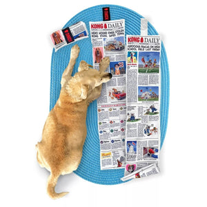 Kong Daily Newspaper Cat Toy XL - XL - Shopivet.com