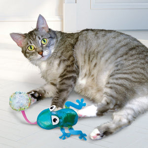 Kong Flingaroo Frog Cat Toy - Shopivet.com