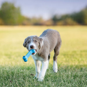 Kong Goodie Bone Puppy Toy - S - Shopivet.com