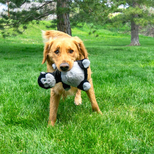 Kong Knots Belly Gorilla Squeaker Dog Toy - M/L - Shopivet.com