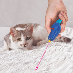 Kong Laser Chirps Bird Cat Laser Toy - Shopivet.com