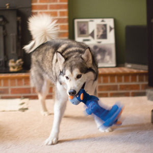 Kong Shakers Dragon Plush Squeaker Dog Toy - L/XL - Shopivet.com