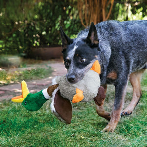 Kong Shakers Honkers Flamingo Plush Squeaker Dog Toy - Large - Shopivet.com