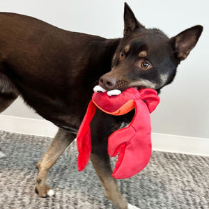 Kong Shakers Shimmy Crab Plush Dog Toy - Medium - Shopivet.com