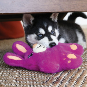 Kong Snuzzles Koala Dog Toy - MEDIUM - Shopivet.com