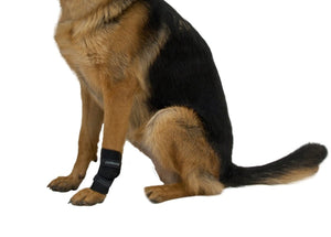 KRUUSE Rehab carpal joint protector Large