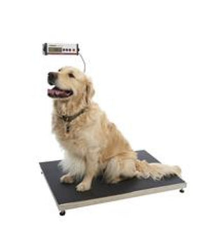 Kruuse Walk-on scales for clinical purposes