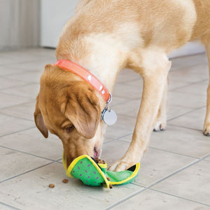 Kong Ballistic Hide 'n Treat Dog Toy - Medium