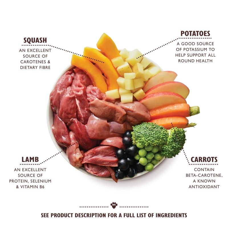 Lily's Kitchen Lamb Hotpot with Potatoes Squash and Carrots Wet Dog Food 400g Tin - 400g - Shopivet.com