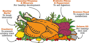 Little BigPaw British Chicken Dry Kitten Food 1.5kg - 1.5kg - Shopivet.com