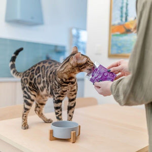 Little BigPaw Gourmet Tender Duck Mousse Wet Cat Food 85g - 85G - Shopivet.com