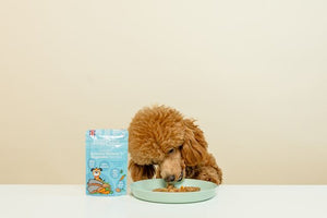 Little BigPaw Steamed Atlantic Salmon & Vegetables Dinner Wet Dog Food 150g - 150g - Shopivet.com