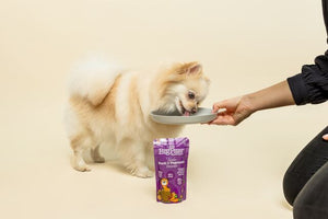 Little BigPaw Tender Duck & Vegetable Dinner Wet Dog Food 150g - 150g - Shopivet.com