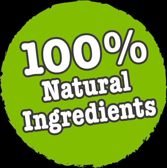Little BigPaw Traditional Turkey & Vegetable Dinner Wet Dog Food 150g - 150g - Shopivet.com