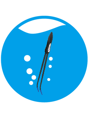 Maxspect PCT-TZ Coral Tweezers