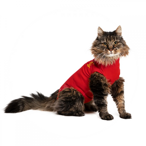 MPS Protective Pet Shirt for Cat, Red, 6XSmall