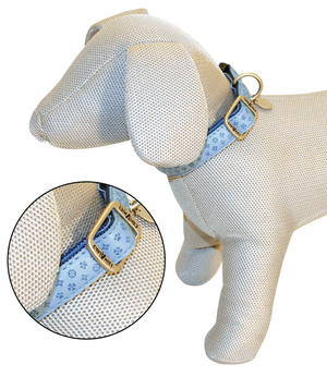 Mylord Leatherette Adjustable Dog Collar 20-30 x 1 cm, Light Blue