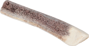 Natural Deer Antler for Puppy