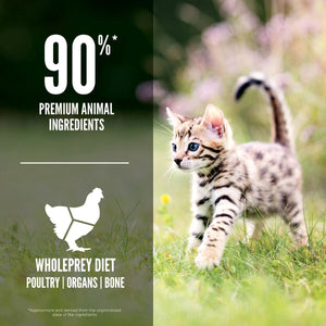 Orijen Kitten Dry Food 1.8kg - 1.8KG - Shopivet.com