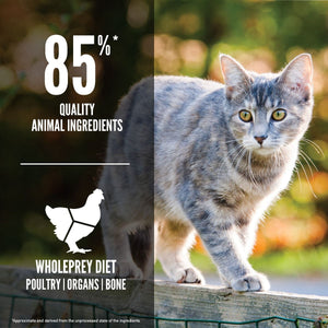 Orijen Original Cat Dry Food - 5.4KG - Shopivet.com