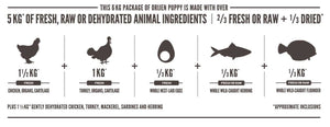 Orijen Puppy Dry Dog Food - 2kg - Shopivet.com