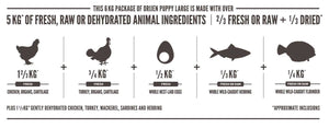 Orijen Puppy Large Dry Dog Food - 11.4KG - Shopivet.com
