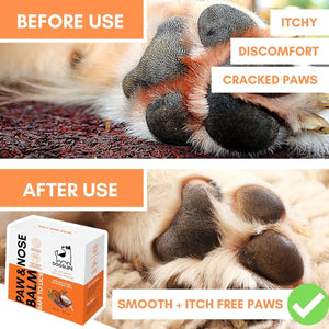 DogsLife Paw & Nose Balm Dog 60ml - 60ML
