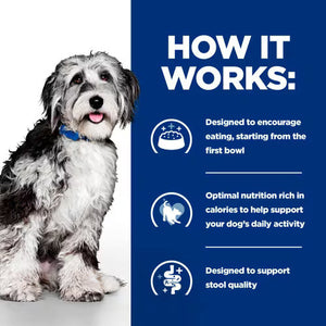 Hill’s Prescription Diet On-Care Stew for Dogs with Chicken & added Vegetables (12x354g)