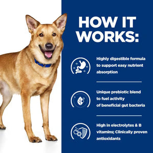 Hill’s Prescription Diet i/d Canine (12x360g)